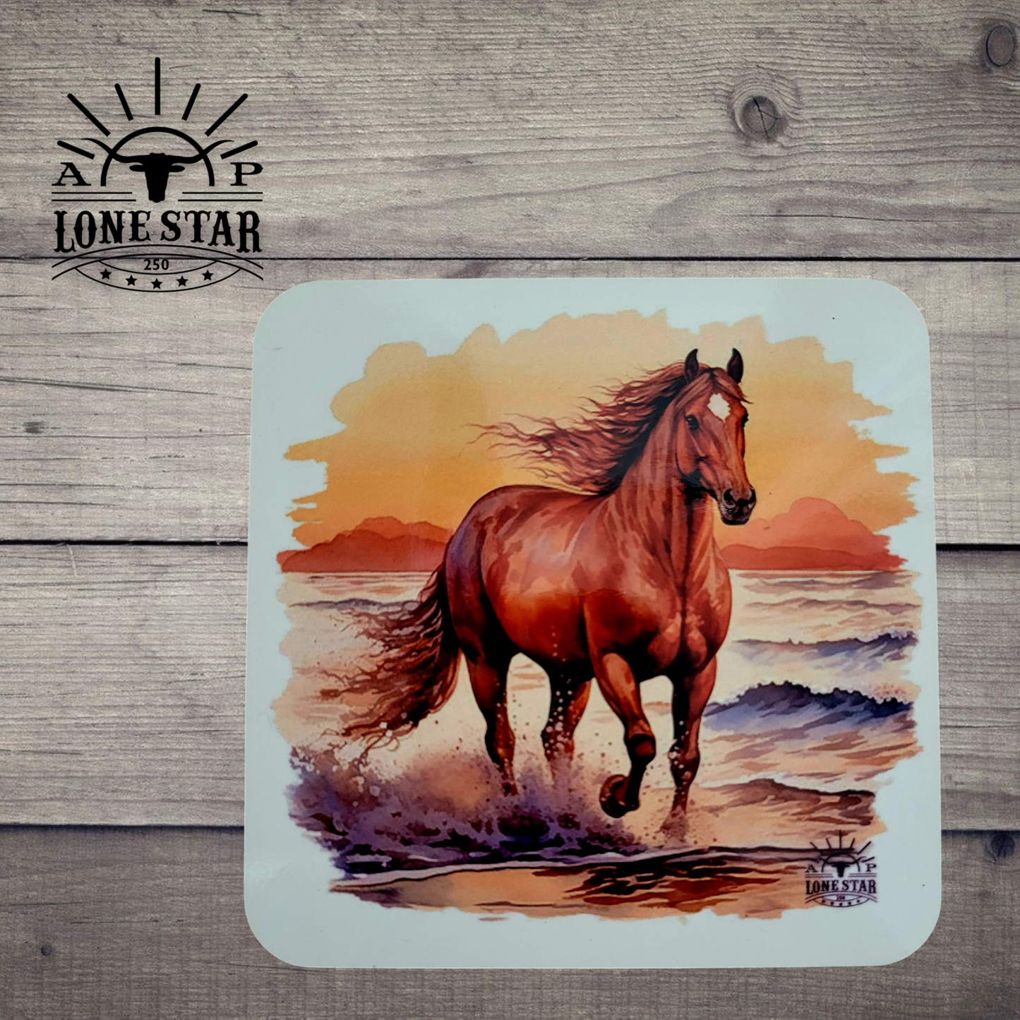 Horse 4 - Coaster