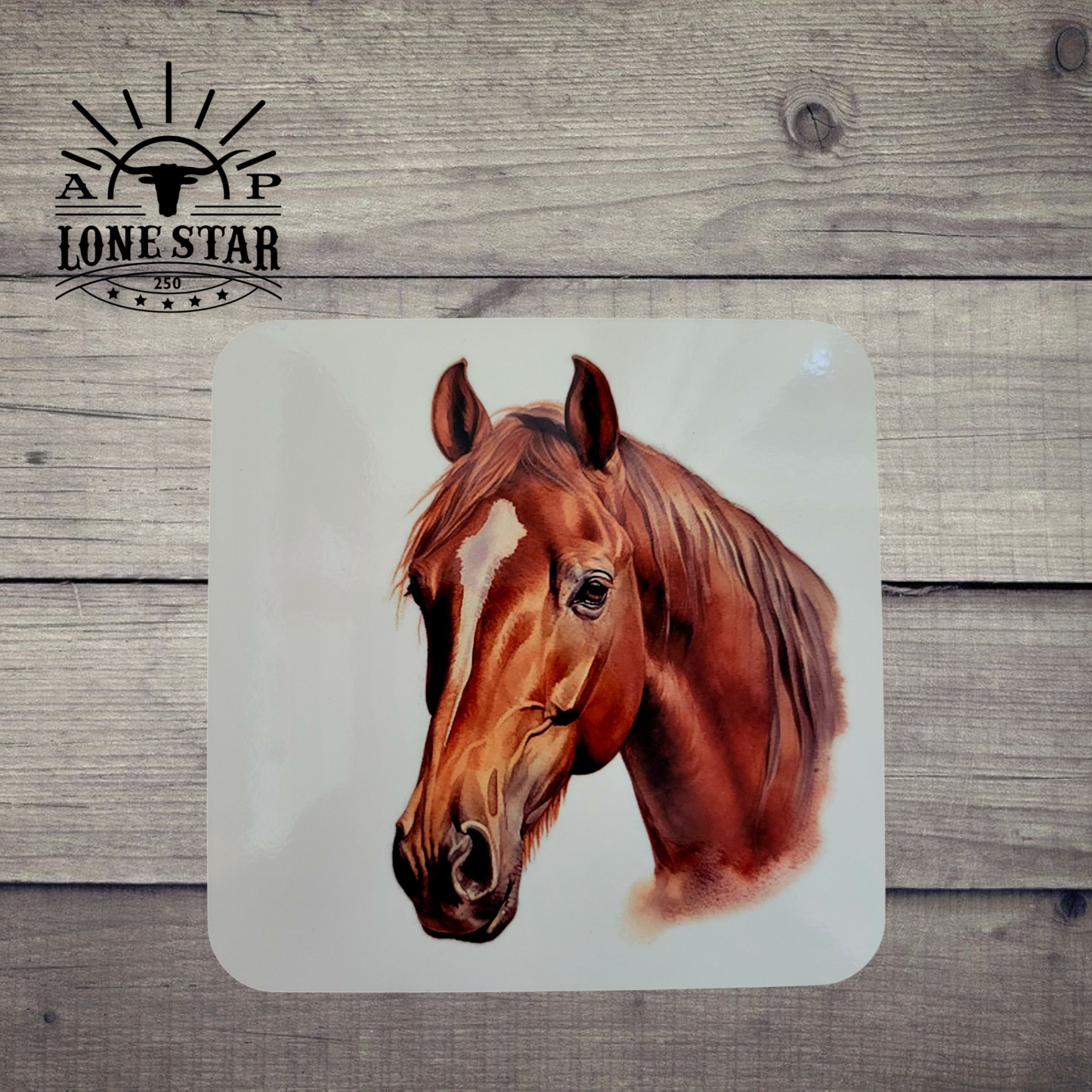 Horse 5 - Coaster